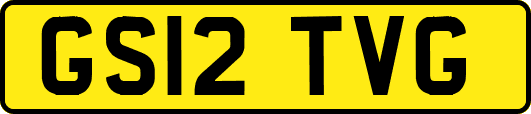GS12TVG