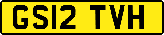 GS12TVH