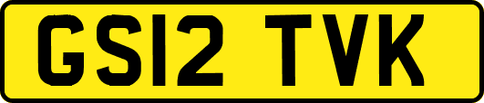 GS12TVK
