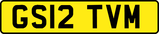 GS12TVM