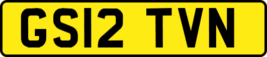GS12TVN