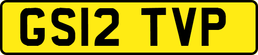 GS12TVP