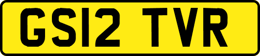 GS12TVR
