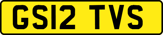 GS12TVS