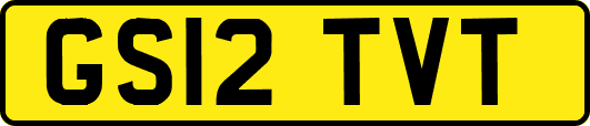 GS12TVT