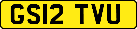 GS12TVU