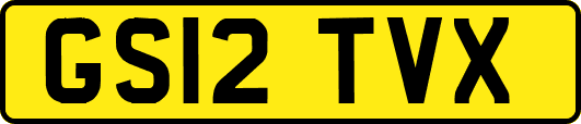GS12TVX