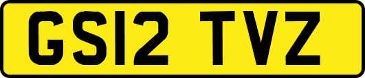GS12TVZ