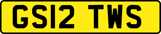 GS12TWS