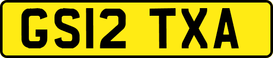 GS12TXA