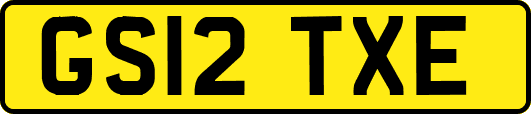 GS12TXE