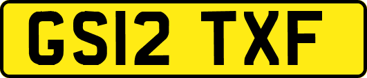 GS12TXF
