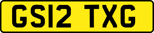 GS12TXG