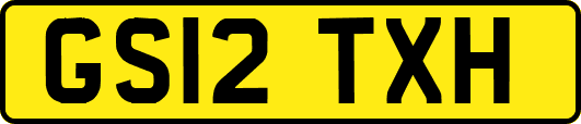GS12TXH