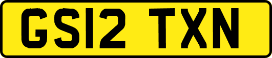 GS12TXN