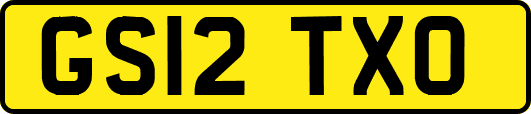 GS12TXO