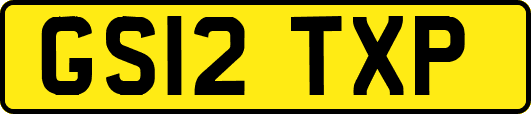 GS12TXP
