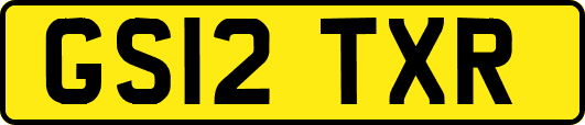 GS12TXR