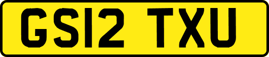 GS12TXU
