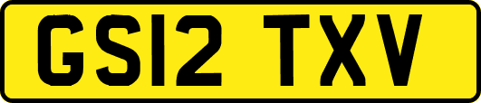 GS12TXV