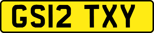GS12TXY
