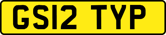 GS12TYP