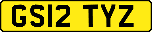 GS12TYZ