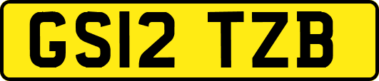 GS12TZB