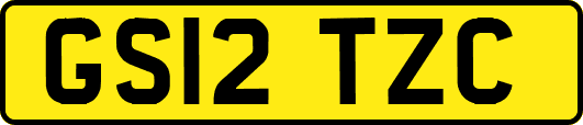 GS12TZC
