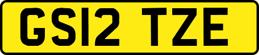 GS12TZE