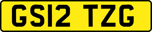 GS12TZG
