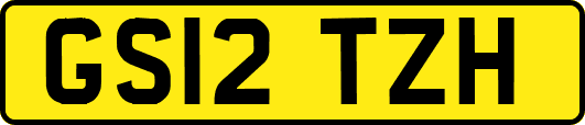 GS12TZH