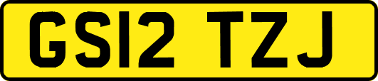 GS12TZJ