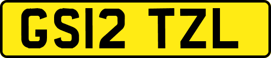 GS12TZL