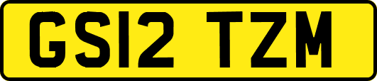 GS12TZM
