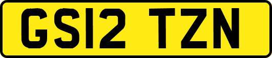 GS12TZN