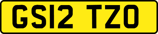 GS12TZO