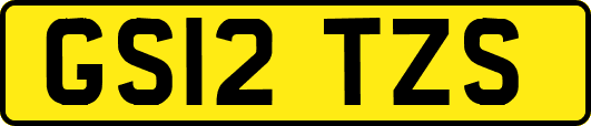GS12TZS
