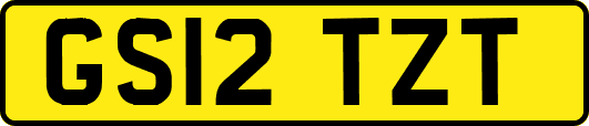 GS12TZT