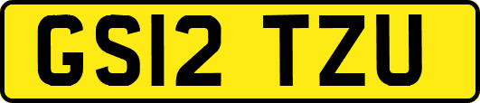 GS12TZU