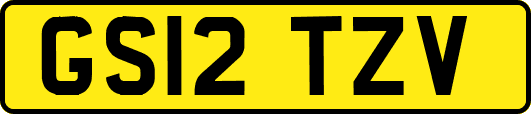 GS12TZV