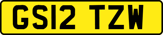 GS12TZW