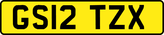 GS12TZX