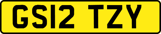 GS12TZY