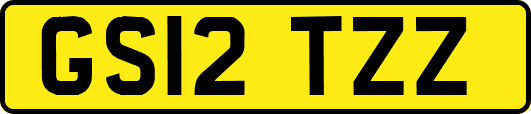 GS12TZZ