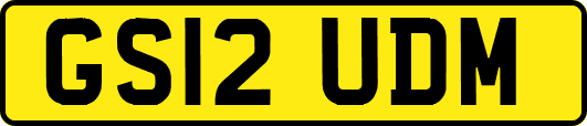 GS12UDM