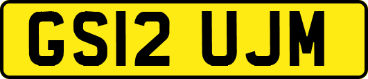 GS12UJM