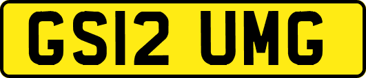 GS12UMG