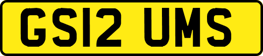 GS12UMS