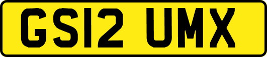 GS12UMX